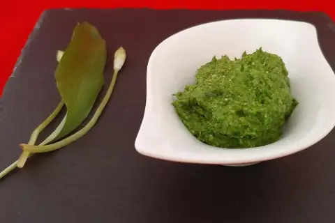 Un bol de pesto vert vif à l'ail des ours, accompagné de quelques feuilles et boutons de la plante.