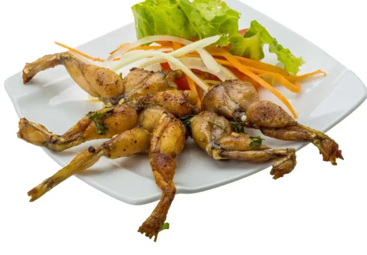 Assiette de cuisses de grenouille grillées, garnie de salade verte, d'oignons et de carottes râpées.