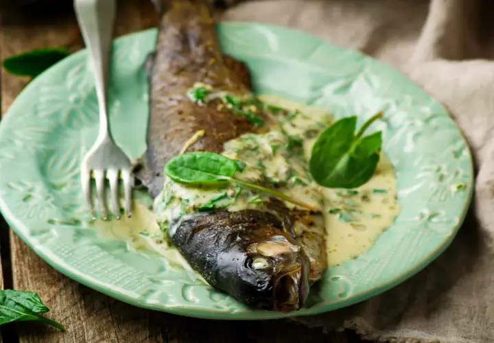 Poisson entier nappé d'une sauce crémeuse à l'oseille, garni de feuilles vertes, sur une assiette menthe.