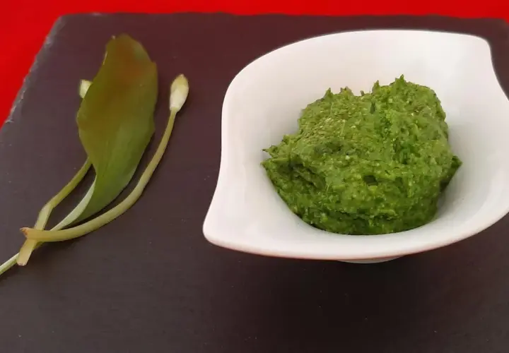 Un bol de pesto vert vif à l'ail des ours, accompagné de quelques feuilles et boutons de la plante.
