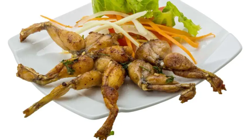 Assiette de cuisses de grenouille grillées, garnie de salade verte, d'oignons et de carottes râpées.