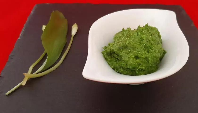 Un bol de pesto vert vif à l'ail des ours, accompagné de quelques feuilles et boutons de la plante.