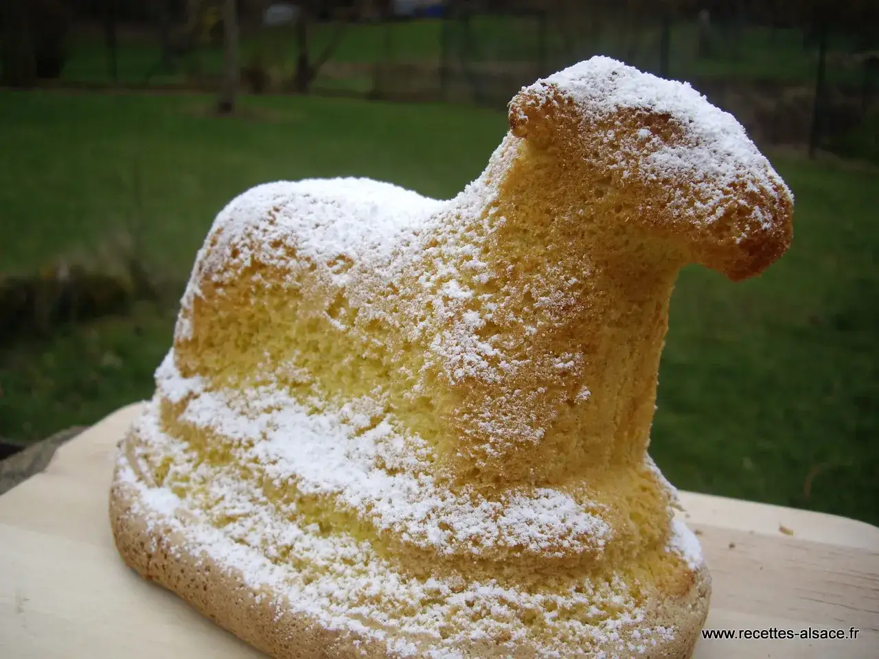 Gâteau en forme d'agneau, saupoudré de sucre glace. Un délice qui rappelle la recette lamala grand-mère.