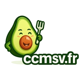 ccmsv.fr